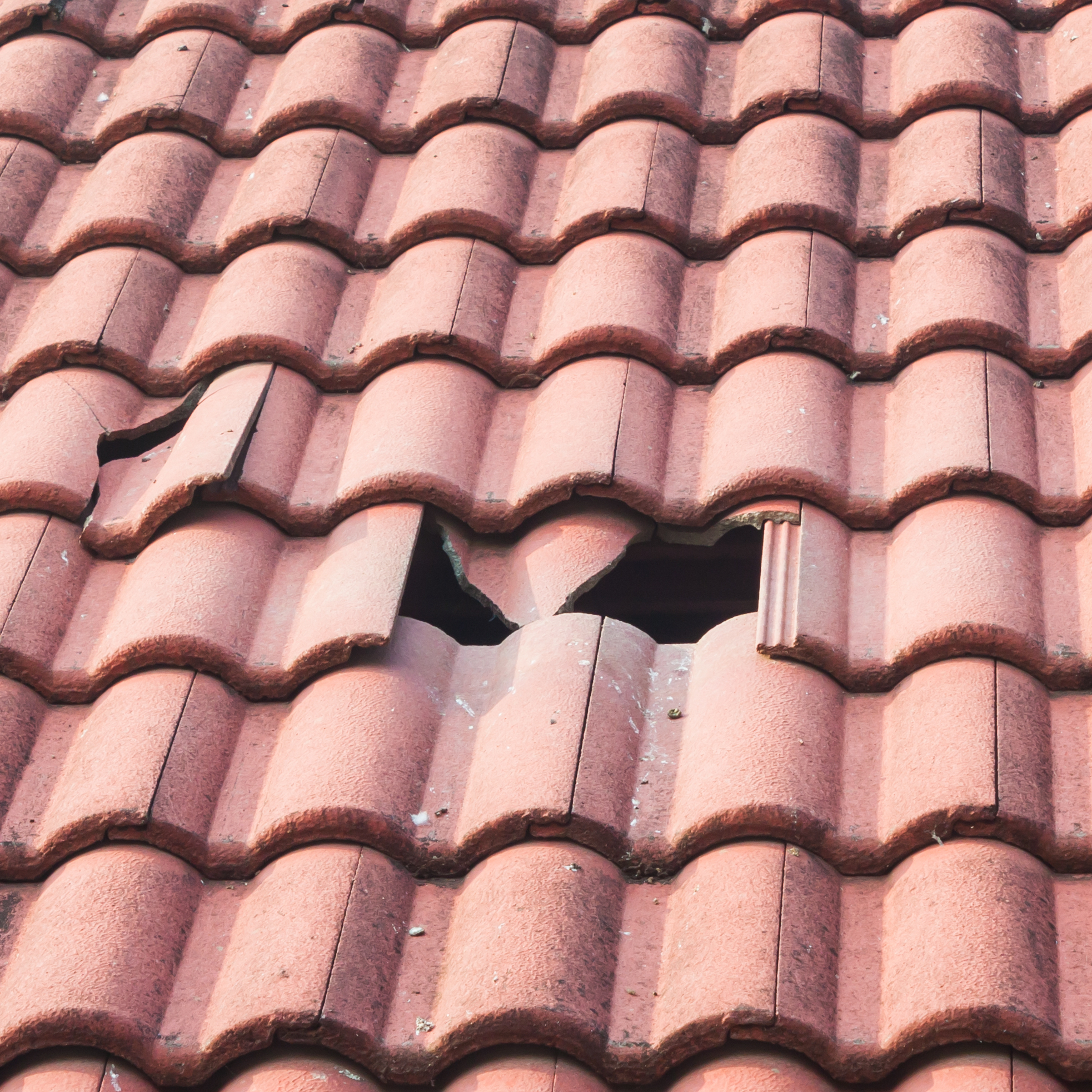 broken monier tiles roof